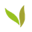 AyurSafari